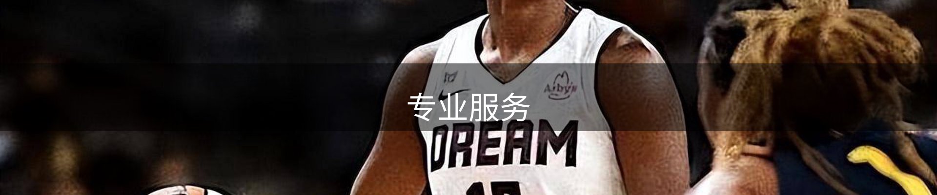 专业服务